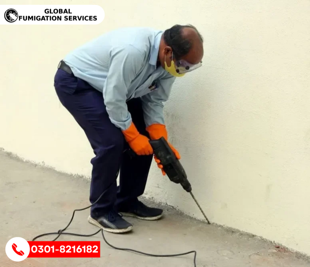 TERMITE CONTROL SERVICES
